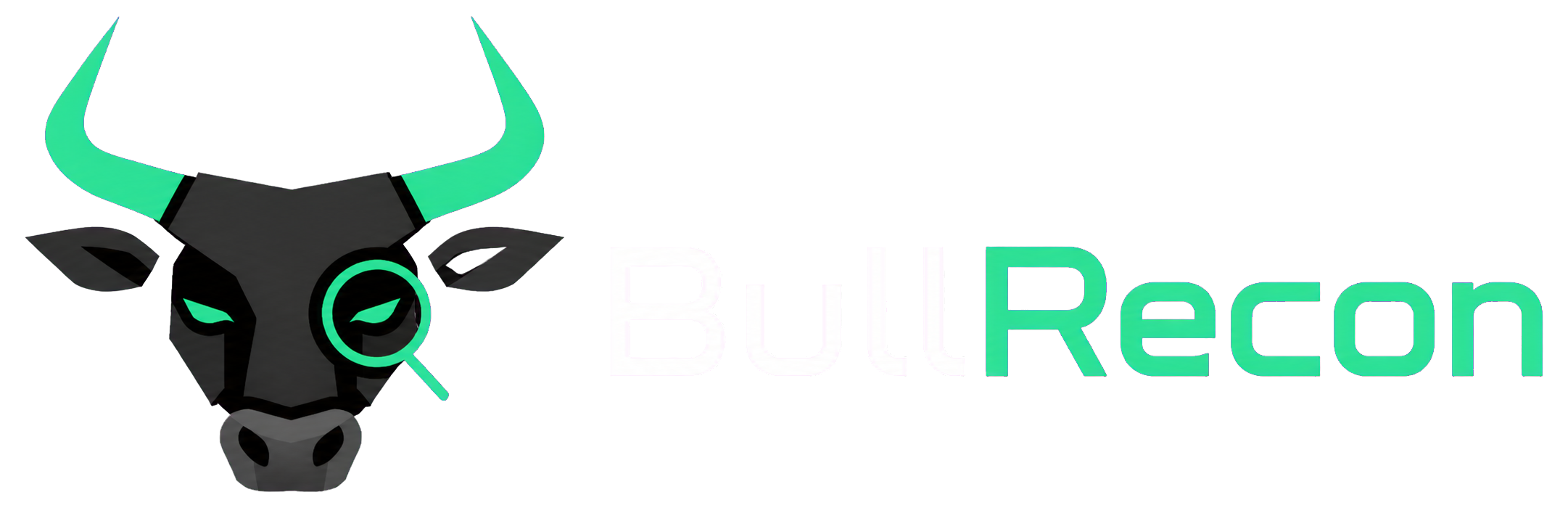 BullRecon